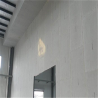 绍兴宁波ALC板|EPS加气板隔墙与混凝土整浇联接的实验研讨